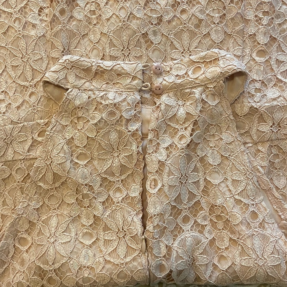 BLUSH LACE DRESS - Picture 3 of 14